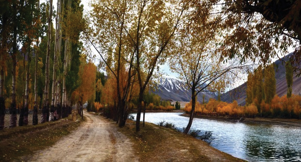 A charming view of the river Ghizer
