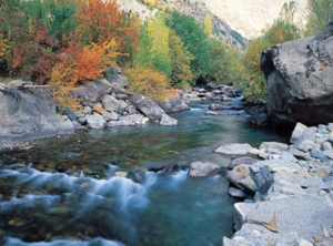 Astor river views in autumn