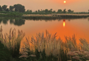 Sunset view on Ravi River