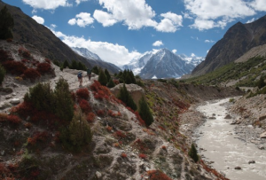 The View of Rupal River